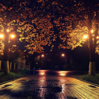 Quem quer ser rico cai…