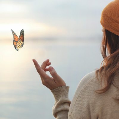 Palavra Amiga Do Bispo Macedo