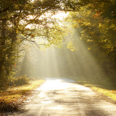 Palavra Amiga Do Bispo Macedo