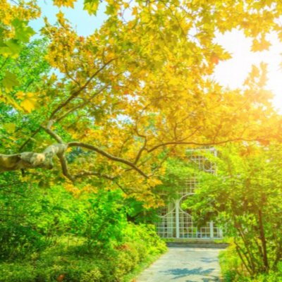 Palavra Amiga Do Bispo Macedo