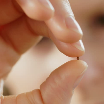 Palavra Amiga Do Bispo Macedo