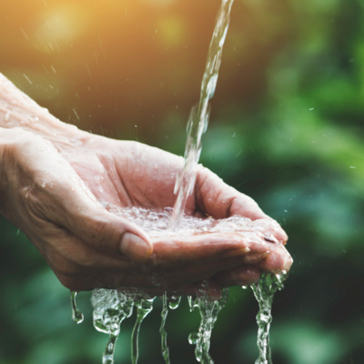 Palavra Amiga Do Bispo Macedo