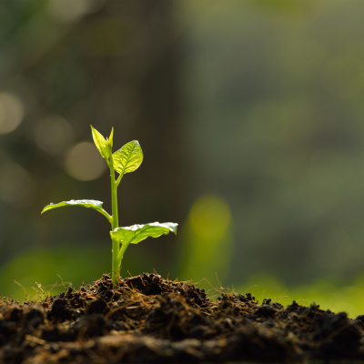 Palavra Amiga Do Bispo Macedo