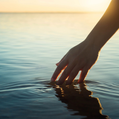 Palavra Amiga Do Bispo Macedo