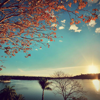 Palavra Amiga Do Bispo Macedo