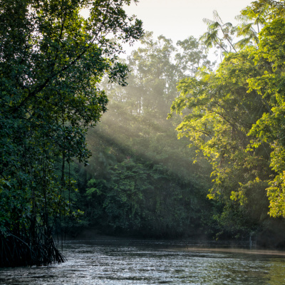 Palavra Amiga Do Bispo Macedo