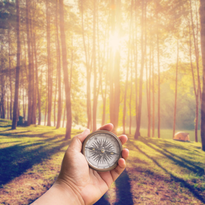 Palavra Amiga Do Bispo Macedo