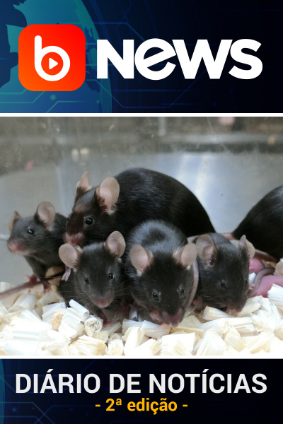 Diário de Notícias - 15/06/2021 - 2ª Edição