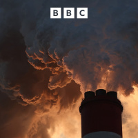 Putting polluters in court