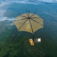 Weighing the worlds forests