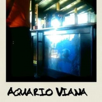 Som de um bar em Viana do castelo