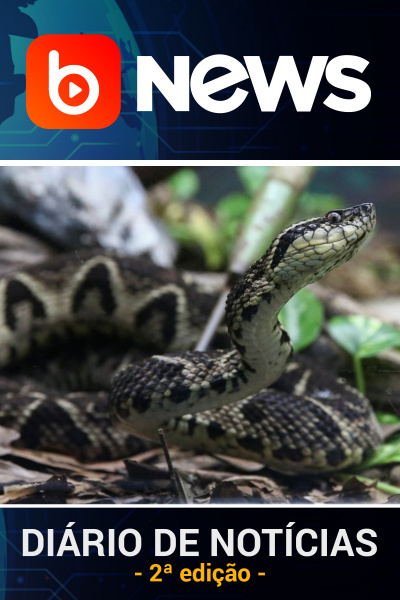 Diário de Notícias - 31/08/2021 - 2ª Edição