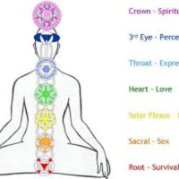 Chakra Warm Ups and 7 Wave Sat Nam Meditation