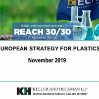REACH November 13, 2019 - European Strategy for Plastics