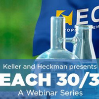 REACH 30/30 - April 2019 REACH Update