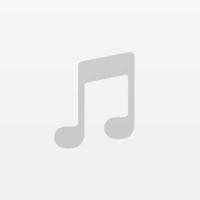 Wp Elevation Wordpress Business Podcast