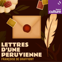 Lettres d’une Péruvienne de Françoise de Graffigny 5/5 : L’épreuve du cœur – Lettres XXIII à XXXV