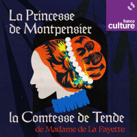 La Princesse de Montpensier  La Comtesse de Tende de Madame de La Fayette 5/5 : La passion et la chute