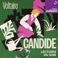 Candide ou loptimisme de Voltaire 2/11 : Chapitres 4e, 5e, 6e et 7e : De la tempête au tremblement de Terre