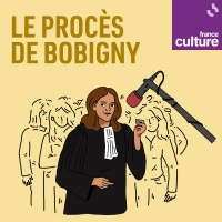 Le Procès de Bobigny : Le Procès de Bobigny de Sophie et Basile Ader