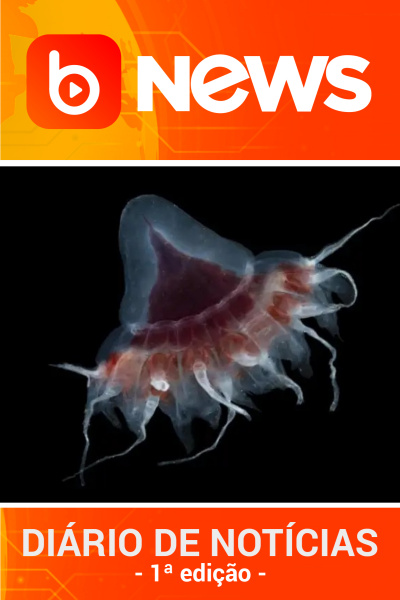 Diário de Notícias - 30/08/2022 - 1ª Edição