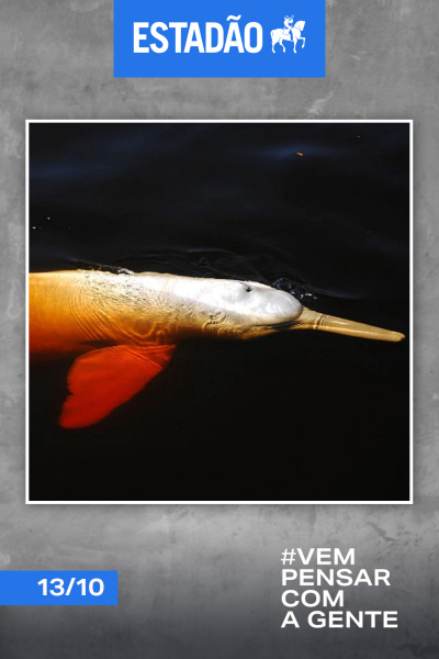 Estadão - 13/10/2022