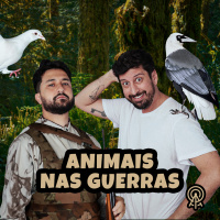 Animais nas guerras