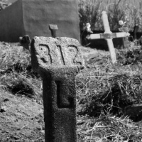 O misterioso caso da cova 312