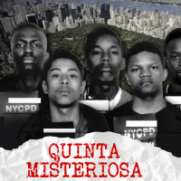 Os 5 do Central Park 