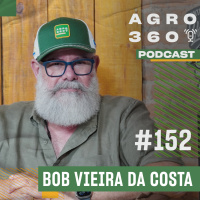 Azeite no Brasil: Como o azeite Sabiá conquistou o mundo | Bob Vieira da Costa