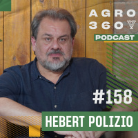 Corridas de Cavalos: Tradição, Apostas e o mercado brasileiro | Hebert Polizio 