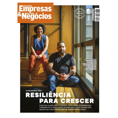 Pequenas Empresas  Grandes Negócios