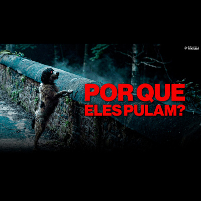 Brasil Paralelo | Podcast