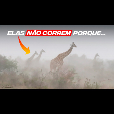 Brasil Paralelo | Podcast