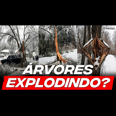 Brasil Paralelo | Podcast