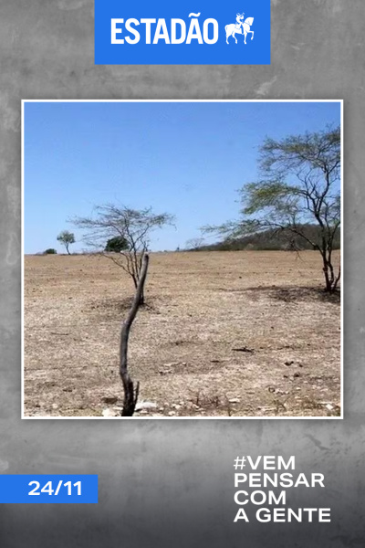 Estadão - 24/11/2023