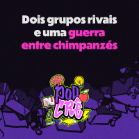 T3E3: Dois grupos rivais e uma guerra entre chimpanzés