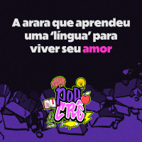 T3E8: A arara que aprendeu uma ‘língua’ para viver seu amor