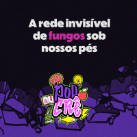 T3E7: A rede invisível de fungos sob nossos pés
