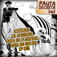 Pauta Secreta #264 - Incêndio na Segunda Área da Floresta, Rota do Galho Nº 8 - Capítulo 1145
