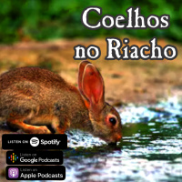 Subrumundo #117 Coelhos no Riacho