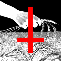 Terror na Colheita - Relato #296