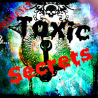 Transparency  Toxic Secrets