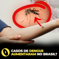 BRASIL REGISTRA MAIS DE 1,1 MILHÃO DE CASOS PROVÁVEIS DE DENGUE EM 2025 - FLOW NEWS - #479 #FN