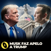 ELON MUSK PRESSIONA DONALD TRUMP PARA REVERTER TARIFAS, MAS É IGNORADO - FLOW NEWS - #463 #FN