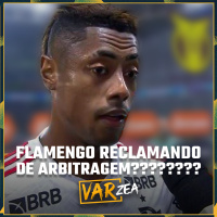 FLAMENGO RECLAMANDO DE ARBITRAGEM - VARzea