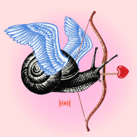 Snail Sex Tape