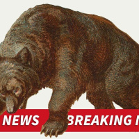 Breaking Bad News Bears