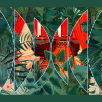 More Perfect: The Political Thicket