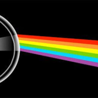 Colors